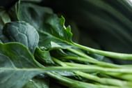 Leafy greens keeps kidneys healthy (Cats Coming/ Pexels)
